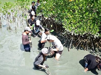 สาขาวิชาการจัดการระบบสารสนเทศเพื่อธุรกิจ
ดำเนินการจัดโครงการปลูกป่าชายเลนเพื่อเฉลิมพระเกียรติ
ณ อุทยานสิ่งแวดล้อมนานาชาติสิรินธร