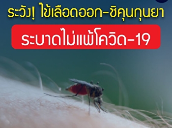 ระวัง ไข้เลือดออก-ชิคุนกุนยา
ระบาดไม่แพ้โควิด-19
